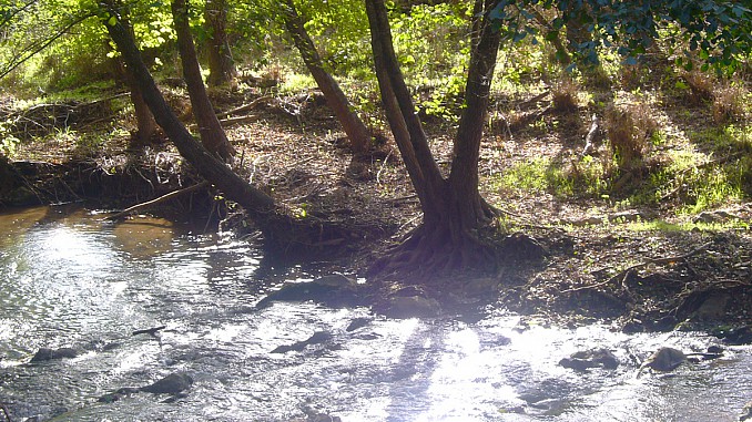 Río Huéznar (Sevilla)