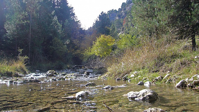 Río en Cazorla
