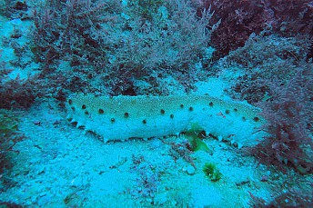 DSC01507