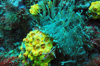 DSC01550