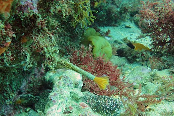 DSC01569
