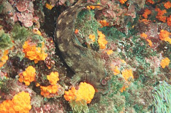 DSC01736