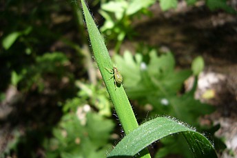 P1020318