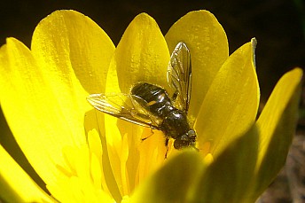 P1130887