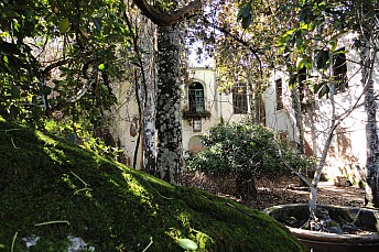 Antigua central hidroeléctrica de San Nicolás del Puerto (7)