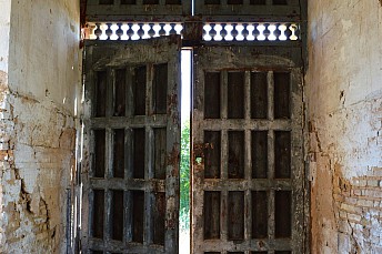 DSC 0220