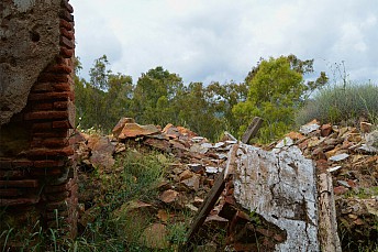 DSC 0044