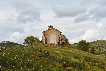 DSC 0299