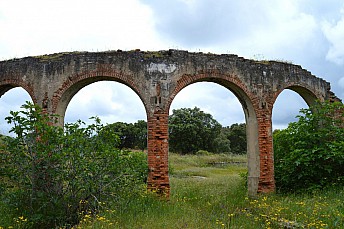 DSC 0148
