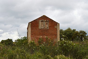 DSC 0172