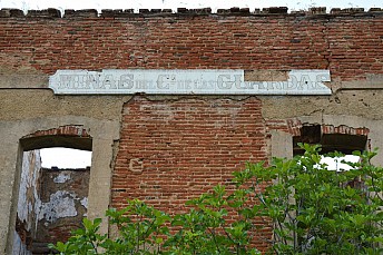 DSC 0181