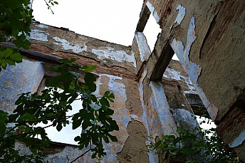 DSC 0217