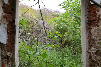 DSC 0218