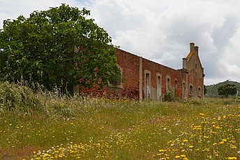 DSC 0232