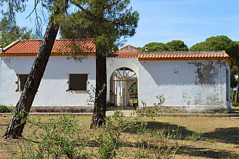 DSC 0205