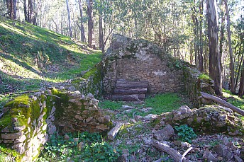 P1130801
