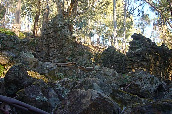P1130812