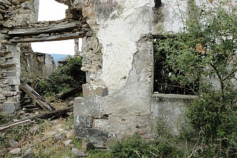 DSC07689