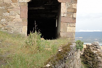 DSC07703
