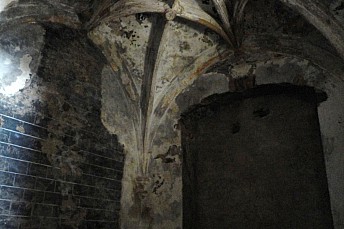 DSC07726