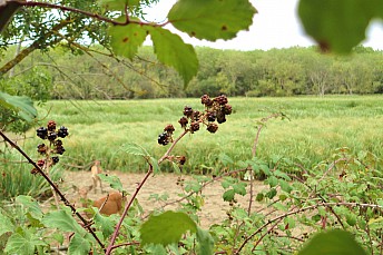 DSC00820