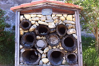 Homenaje a las abejas