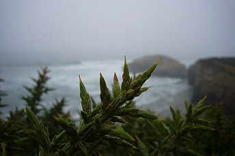 P1010138