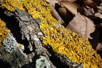P1050698