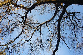 P1050718
