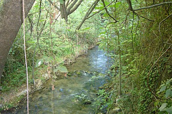 P1100642