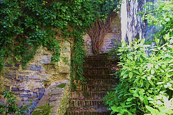 botanico