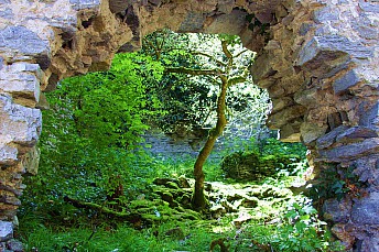 botanico2