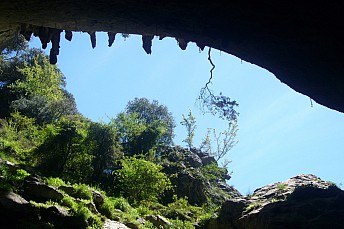 Cueva de Dima (Bizkaia)