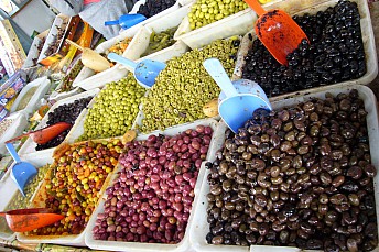 Diferentes tipos de aceituna