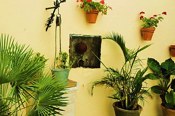 Patio andaluz