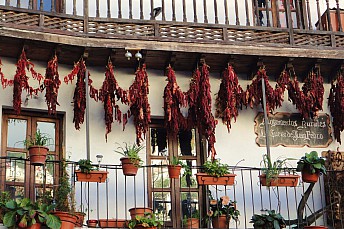 Pimientos choriceros