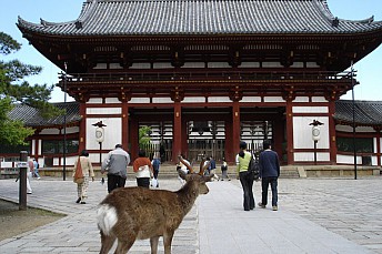 Fauna en los templos de Japón