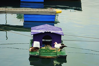 Casa flotante