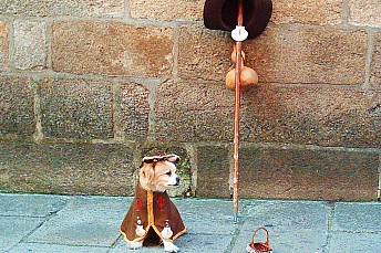 Perro peregrino