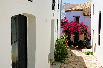 Callejuela de Castellar de la Frontera