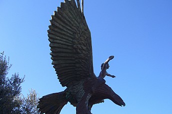 El aguila y el niño (Lloret de Mar)