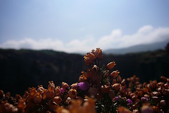 P1010512