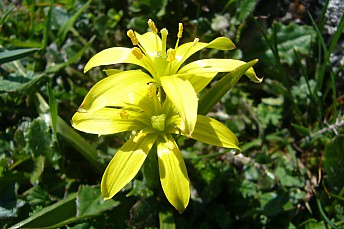 P1090475
