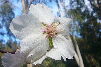P1130949