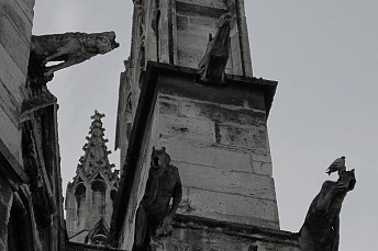 Gárgolas de la Catedral de Saint André (Burdeos)