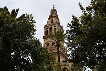 Torre de la Mezquita Catedral de Córdoba