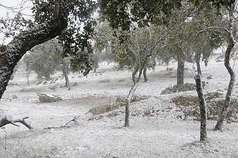 Nieve en Cazalla de la Sierra - 2