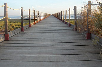 1-46
