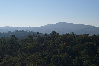 Aracena