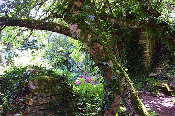 Detalle del jardín botánico de Santa Catalina
